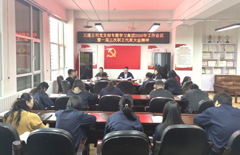 深學(xué)篤行展新姿 凝心聚力啟新程——三建公司黨支部專題學(xué)習(xí)研討集團“兩會”精神