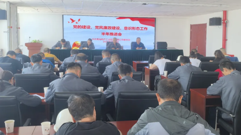 工投公司黨委召開黨的建設(shè)、黨風(fēng)廉政建設(shè)、意識(shí)形態(tài)工作半年推進(jìn)會(huì)
