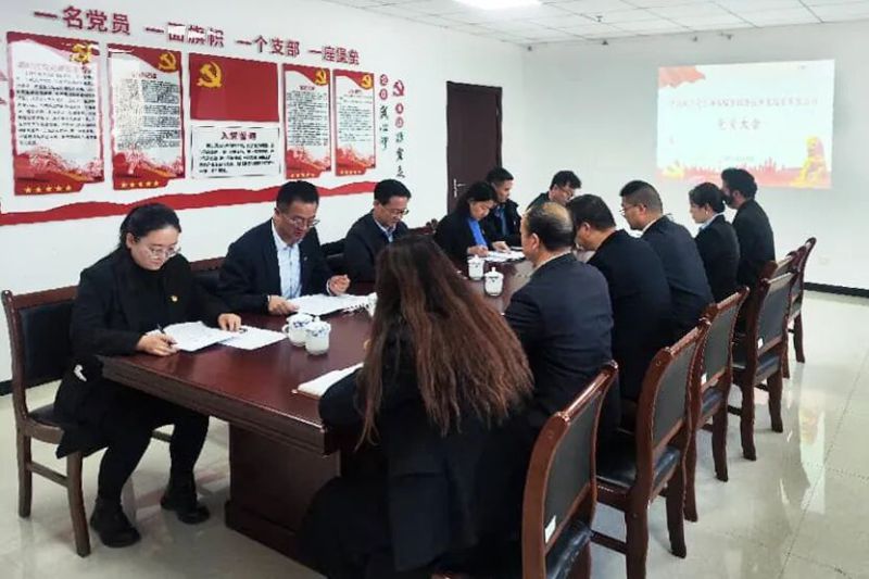 中國(guó)共產(chǎn)黨臨空公司黨員大會(huì)勝利召開