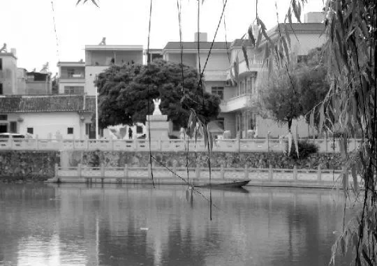 老鄉(xiāng)眼里的李河君：陌生富豪，夫人助其發(fā)財(cái)